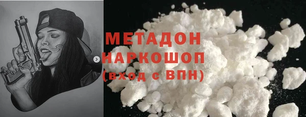 индика Няндома