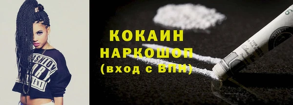 индика Няндома