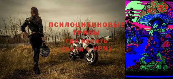 индика Няндома