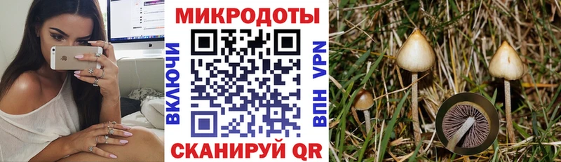 Псилоцибиновые грибы MAGIC MUSHROOMS  Рыбное 